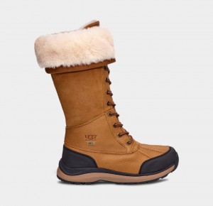 Ugg Adirondack III Höga Stövlar Dam Bruna | JK7032564