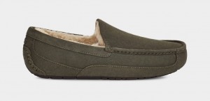 Ugg Ascot Tofflor Herr Grå | AX0846931