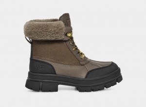 Ugg Ashton Addie Stövlar Dam Grå | WN8971243