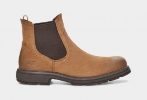 Ugg Biltmore Chelsea Boots Herr Bruna | UP0374829