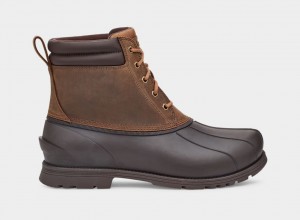 Ugg Gatson Mid Stövlar Herr Bruna | EJ4621308