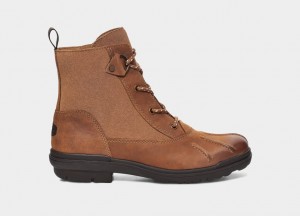 Ugg Hapsburg Duck Stövlar Dam Bruna | GY0415937