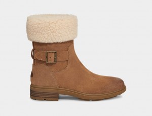 Ugg Harrison Cuff Stövlar Dam Bruna | NK2790468