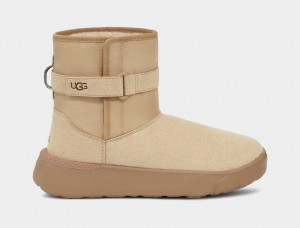 Ugg Klassiska S Stövlar Herr Bruna | CZ7149638