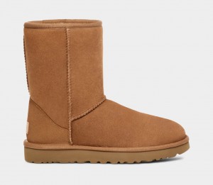 Ugg Klassiska Stövlar Herr Bruna | SA5307924