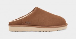 Ugg Klassiska Tofflor Herr Bruna | NL9207614