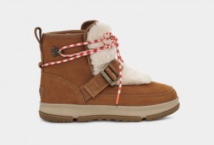 Ugg Klassiska Weather Hiker Stövlar Dam Bruna | BV1458697