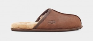 Ugg Scuff Läder Tofflor Herr Bruna | VD1905378