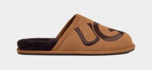 Ugg Scuff Logo II Tofflor Herr Bruna | AY7463029