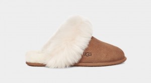 Ugg Scuff Sis Tofflor Dam Bruna | TI7046523