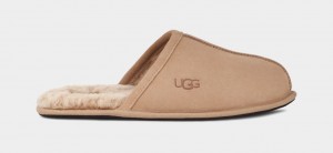 Ugg Scuff Tofflor Herr Bruna | AC0537824