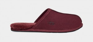 Ugg Scuff Tofflor Herr Lila | AQ6148725