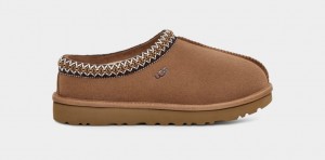 Ugg Tasman Tofflor Dam Bruna | KU9307215