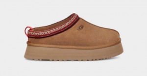 Ugg Tazz Tofflor Dam Bruna | AR0394582