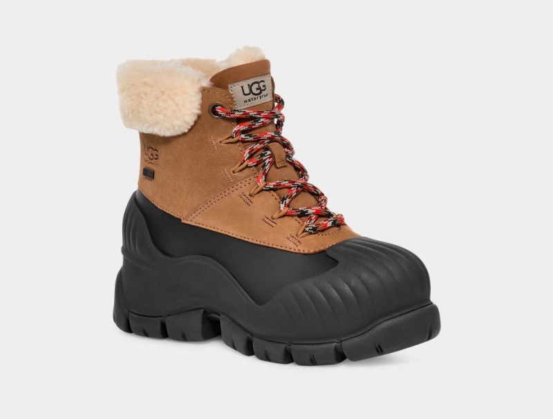 Ugg Adiroam Hiker Stövlar Dam Bruna | ZR3978562