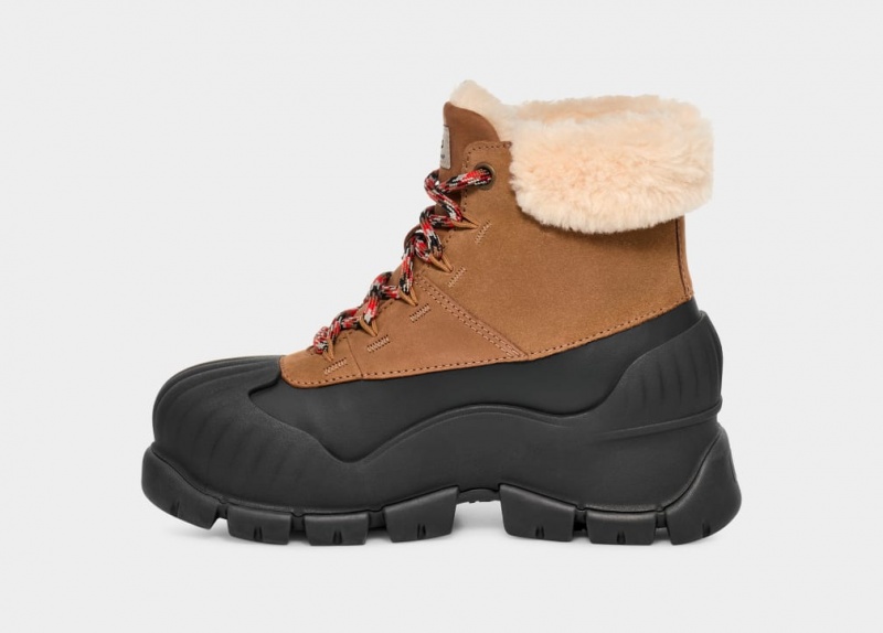 Ugg Adiroam Hiker Stövlar Dam Bruna | ZR3978562