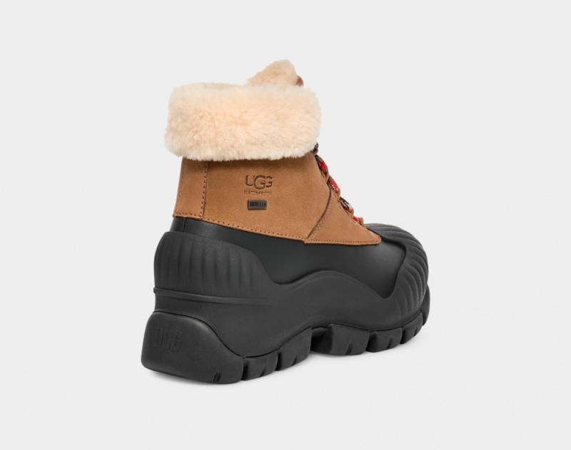 Ugg Adiroam Hiker Stövlar Dam Bruna | ZR3978562