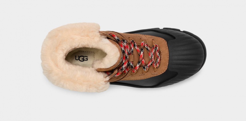 Ugg Adiroam Hiker Stövlar Dam Bruna | ZR3978562