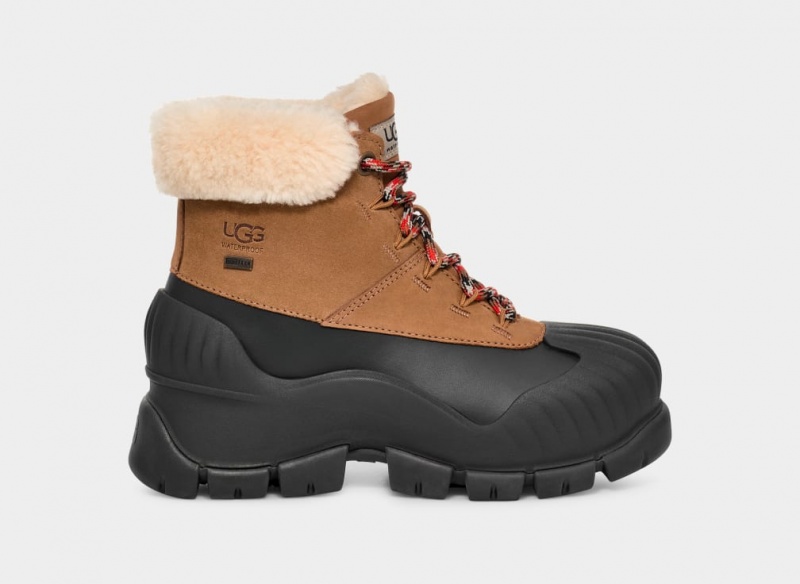 Ugg Adiroam Hiker Stövlar Dam Bruna | ZR3978562