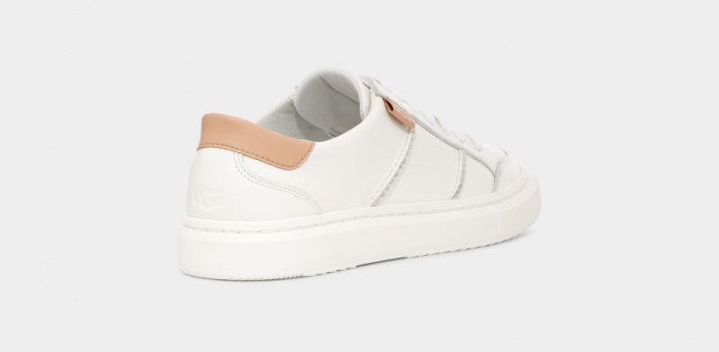 Ugg Alameda Spets Sneakers Dam Vita | WI4103765