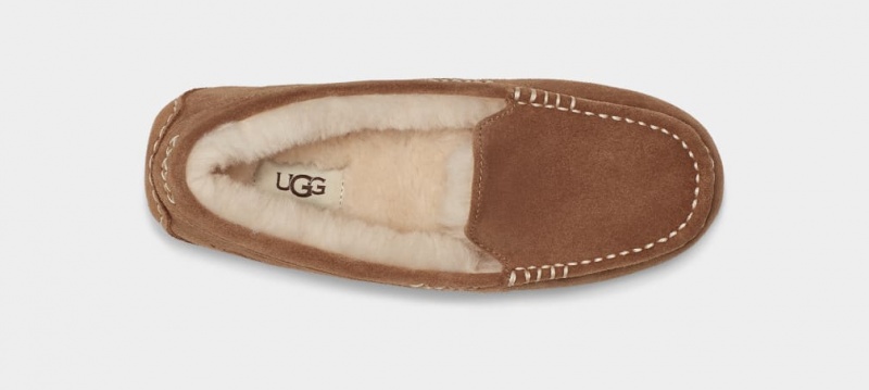 Ugg Ansley Mockasiner Dam Bruna | XJ6570318