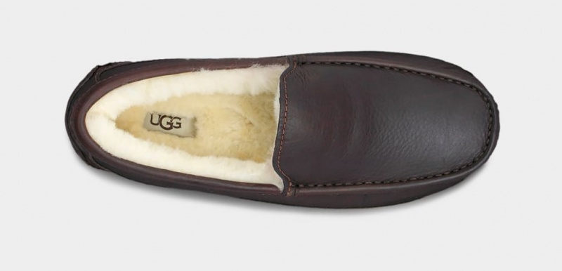 Ugg Ascot Läder Mockasiner Herr Mörkbruna | WV0162538