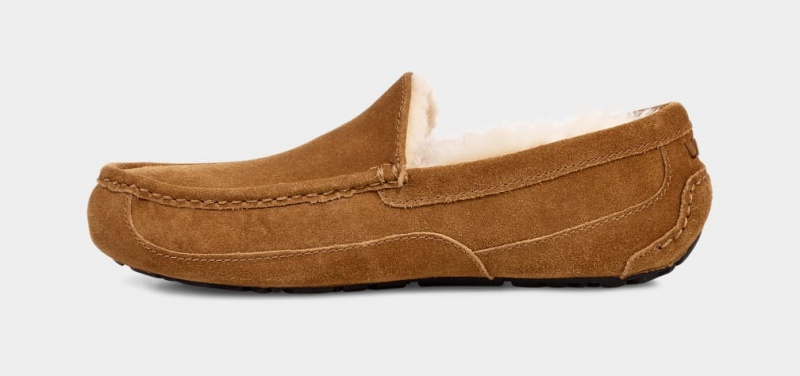 Ugg Ascot Mockasiner Herr Bruna | NJ9862573