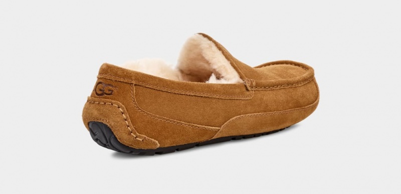 Ugg Ascot Mockasiner Herr Bruna | NJ9862573