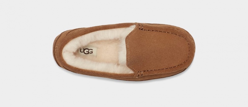 Ugg Ascot Tofflor Barn Bruna | AF6408539