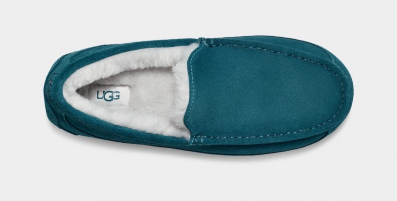 Ugg Ascot Tofflor Herr Blå | UC2184795