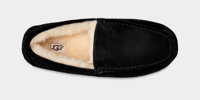 Ugg Ascot Tofflor Herr Svarta | XB6580413