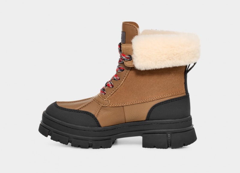 Ugg Ashton Addie Stövlar Dam Bruna | FC3870924