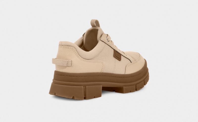 Ugg Ashton Hybrid Sneakers Dam Beige | WU5174028