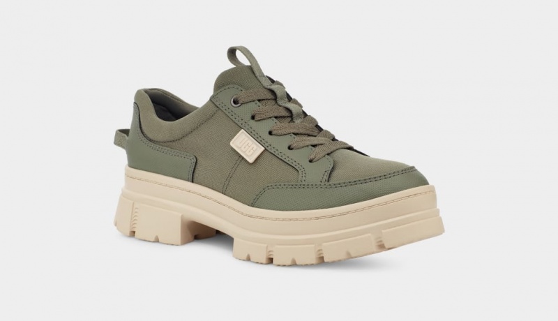 Ugg Ashton Hybrid Sneakers Dam Gröna | OZ0732849