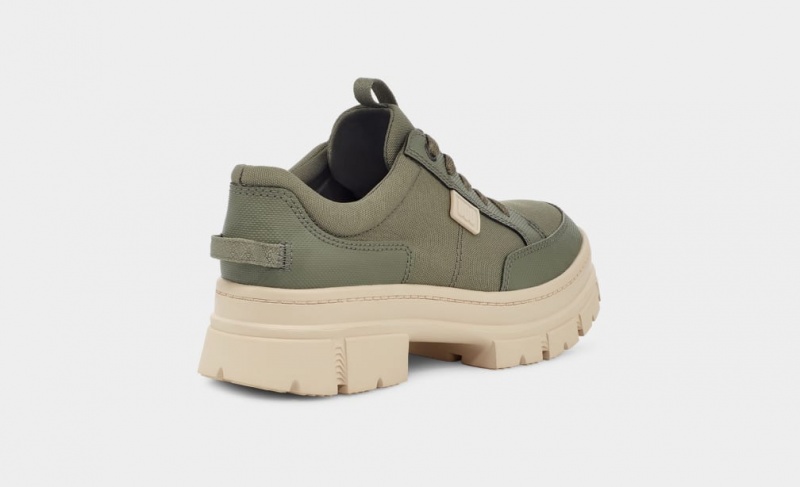 Ugg Ashton Hybrid Sneakers Dam Gröna | OZ0732849