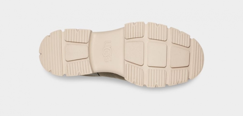 Ugg Ashton Hybrid Sneakers Dam Gröna | OZ0732849