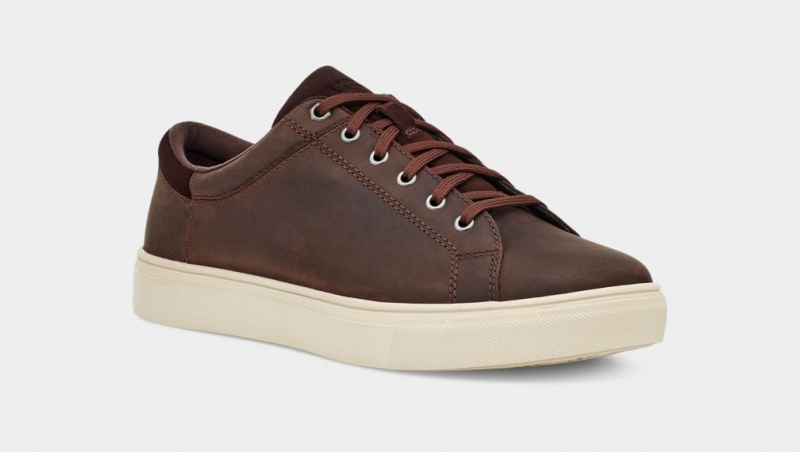 Ugg Baysider Low Weather Sneakers Herr Bruna | HF2801937