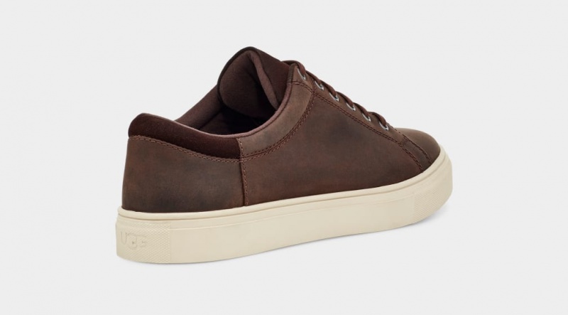 Ugg Baysider Low Weather Sneakers Herr Bruna | HF2801937