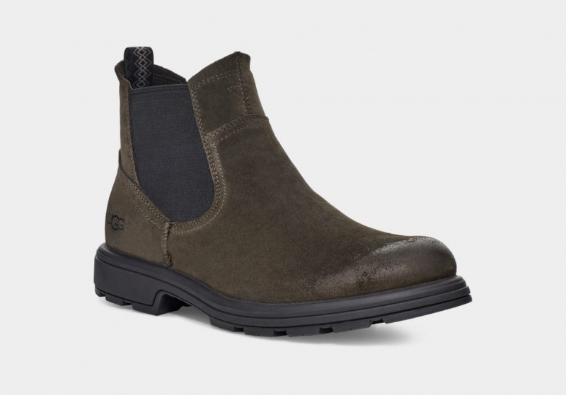 Ugg Biltmore Chelsea Boots Herr Mörkolivgröna | IS8425613