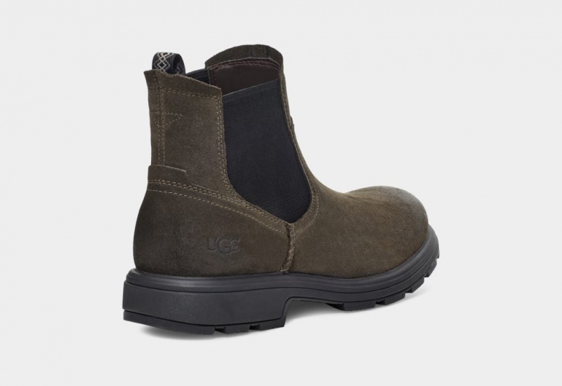 Ugg Biltmore Chelsea Boots Herr Mörkolivgröna | IS8425613