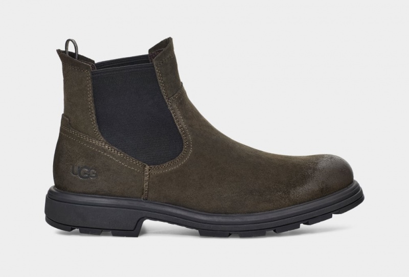 Ugg Biltmore Chelsea Boots Herr Mörkolivgröna | IS8425613