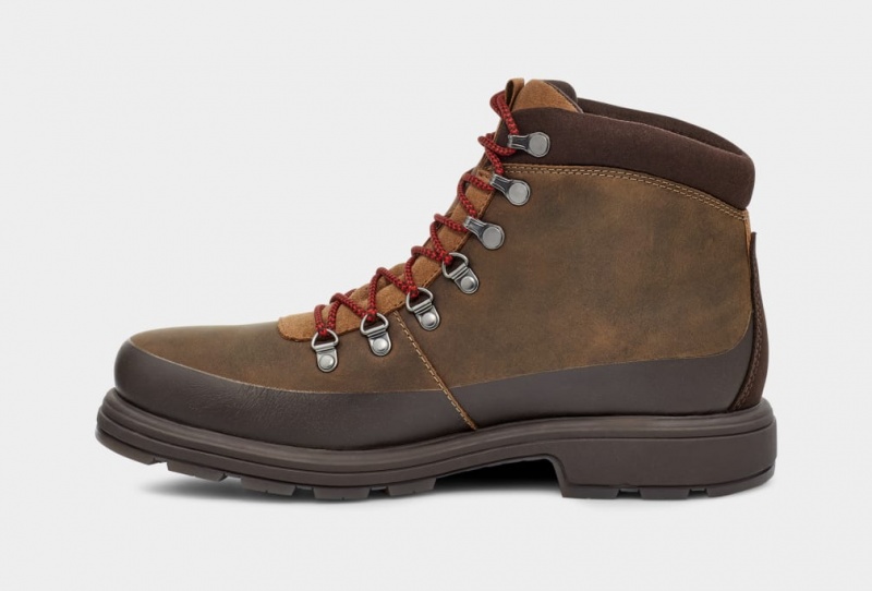 Ugg Biltmore Hiker Stövlar Herr Bruna | XR7602491