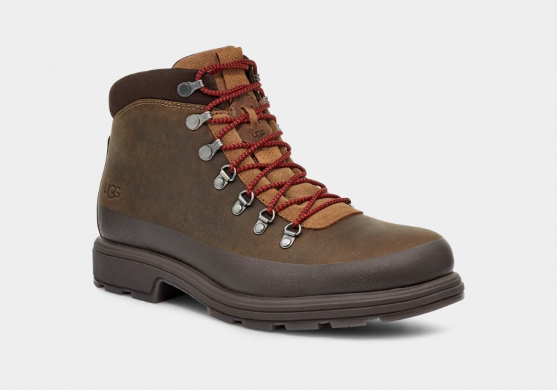 Ugg Biltmore Hiker Stövlar Herr Bruna | XR7602491