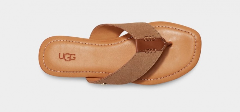 Ugg Carey Flip Mocka Badtofflor Dam Bruna | FS4185923