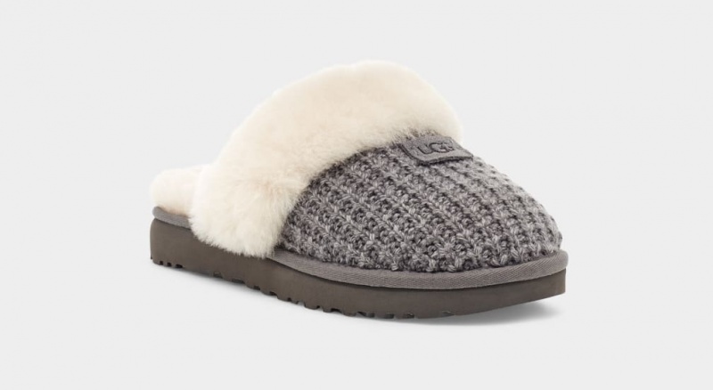 Ugg Cozy Tofflor Dam Grå | SA2314906