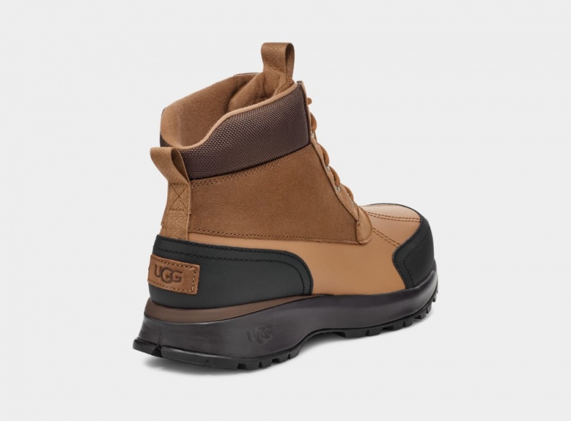 Ugg Emmett Duck Stövlar Herr Bruna | YC4612789