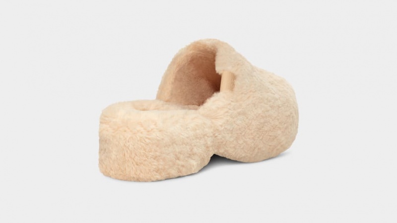 Ugg Fuzz Sugar Clogs Dam Beige | XL8032964