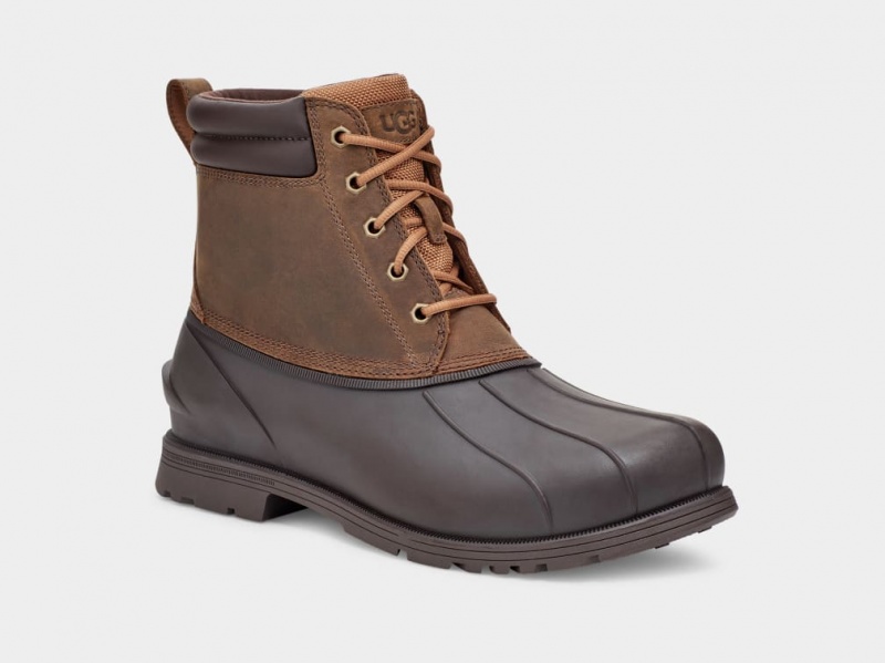 Ugg Gatson Mid Stövlar Herr Bruna | EJ4621308