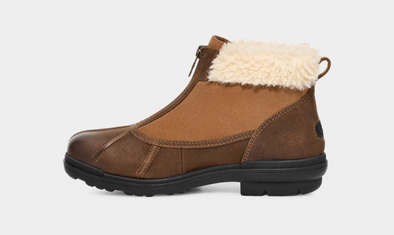 Ugg Hapsburg Zip Stövlar Dam Bruna | YD6738512