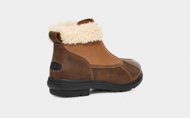 Ugg Hapsburg Zip Stövlar Dam Bruna | YD6738512